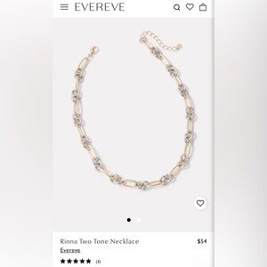 NWT Evereve Gold and Silver Link Necklace